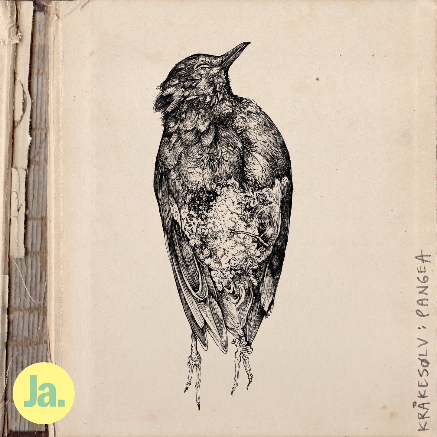 Kråkesølv - Pangea (CD)