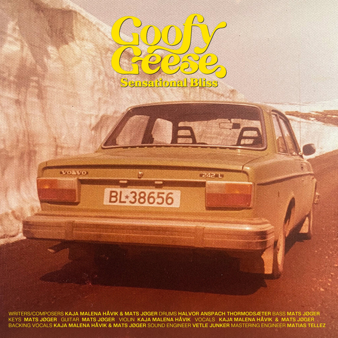 Goofy Geese - Sensational Bliss