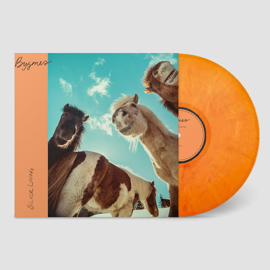 Silver Lining - Bygones (LP) PRE-ORDER
