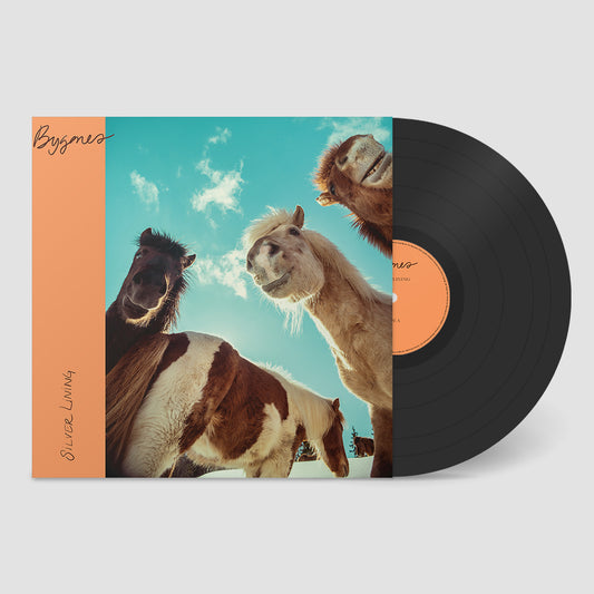 Silver Lining - Bygones (LP) PRE-ORDER