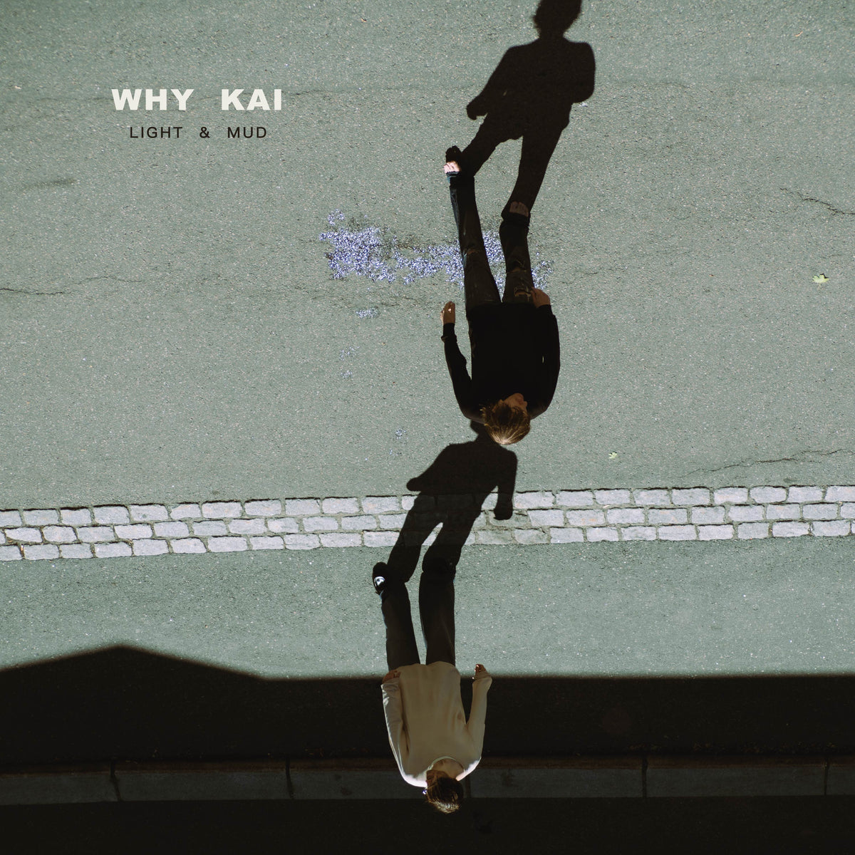 Why Kai - Light & Mud (LP)